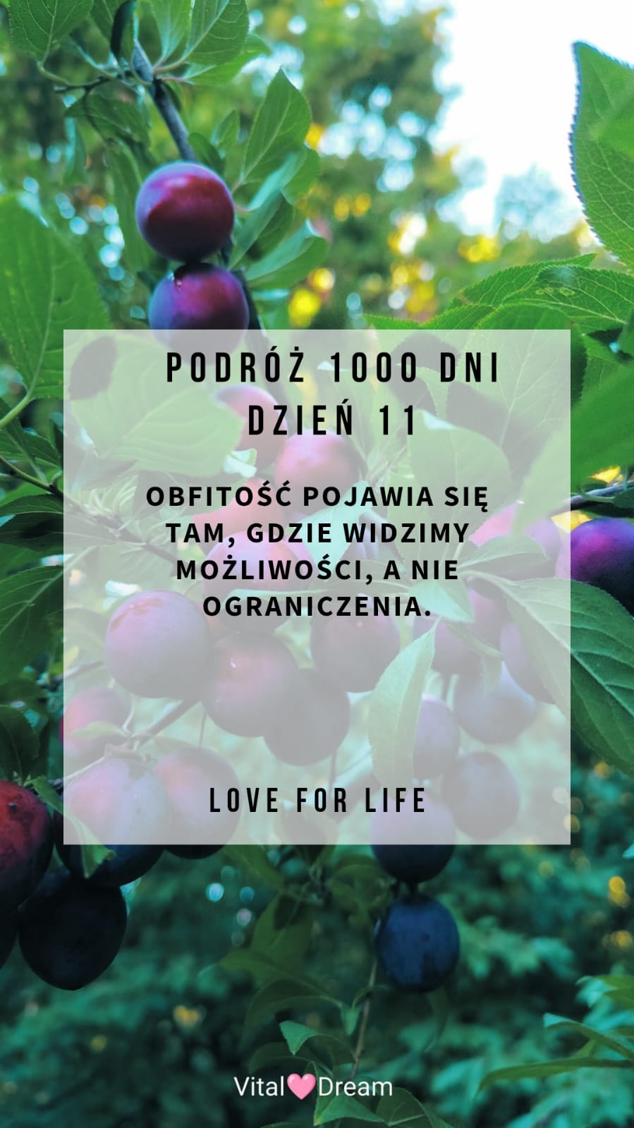 DZIEŃ 11